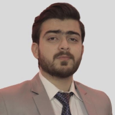 Hussain Lead Developer